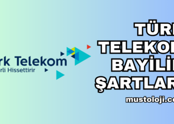Türk Telekom Bayilik Şartları ve Başvurusu Nasıl Yapılır?