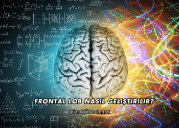 Frontal Lob Nasıl Geliştirilir?