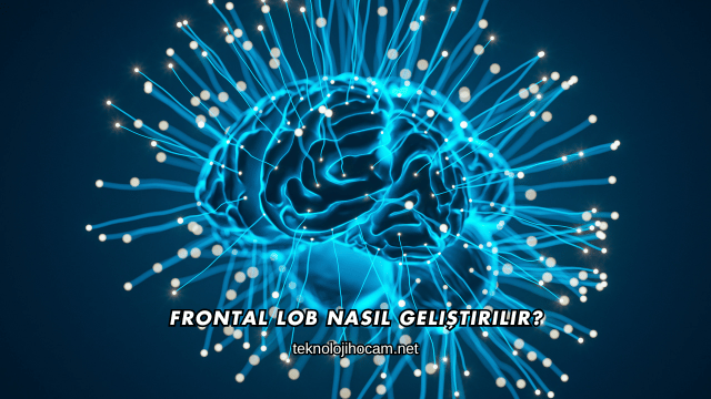 Frontal Lob Nasıl Geliştirilir?