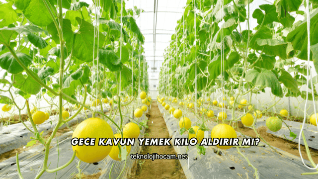 Gece Kavun Yemek Kilo Aldırır mı?