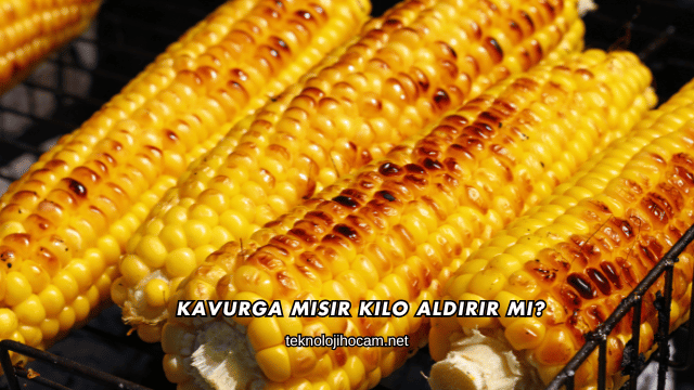 Kavurga Mısır Kilo Aldırır mı?