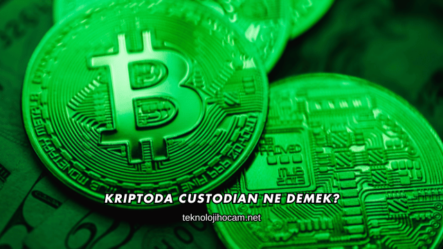 Kriptoda Custodian Ne Demek?