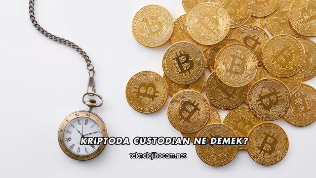 Kriptoda Custodian Ne Demek?