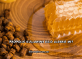 Propolis Kullanımı Kilo Aldırır mı?