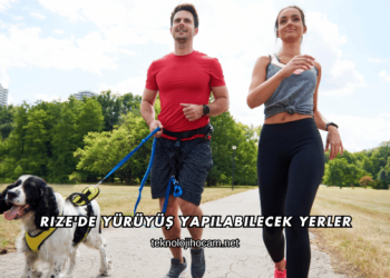 Rize'de Yürüyüş Yapılabilecek Yerler