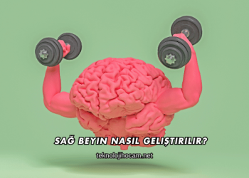 Sağ Beyin Nasıl Geliştirilir?