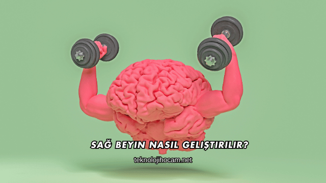 Sağ Beyin Nasıl Geliştirilir?