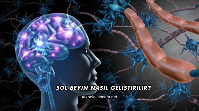 Sol Beyin Nasıl Geliştirilir