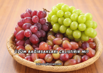 Üzüm Bağırsakları Çalıştırır mı?