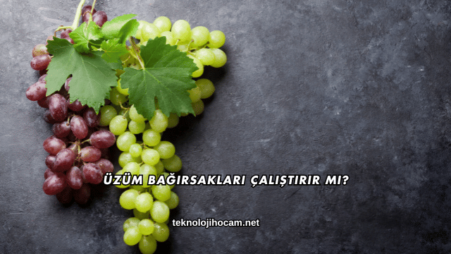Üzüm Bağırsakları Çalıştırır mı?