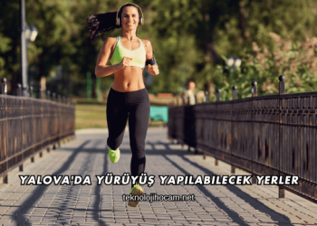 Yalova'da Yürüyüş Yapılabilecek Yerler